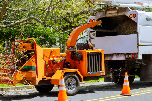 Best Tree Trimming and Pruning  in Forked River, NJ